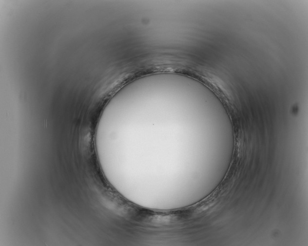 X0000091080314200708061052