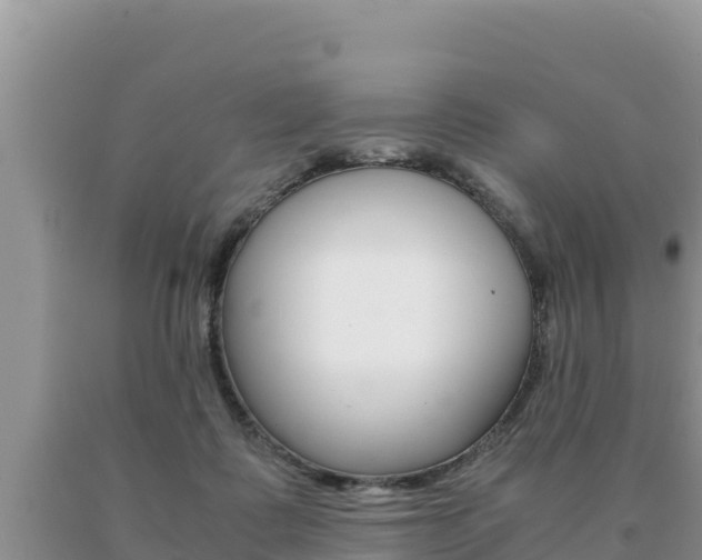 X0000091080315200708061052