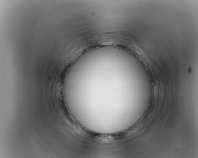 X0000091080322200708061051