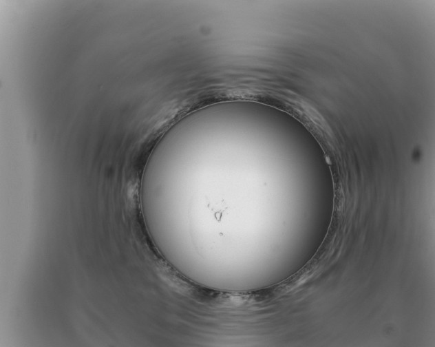 X0000091080329200708061051