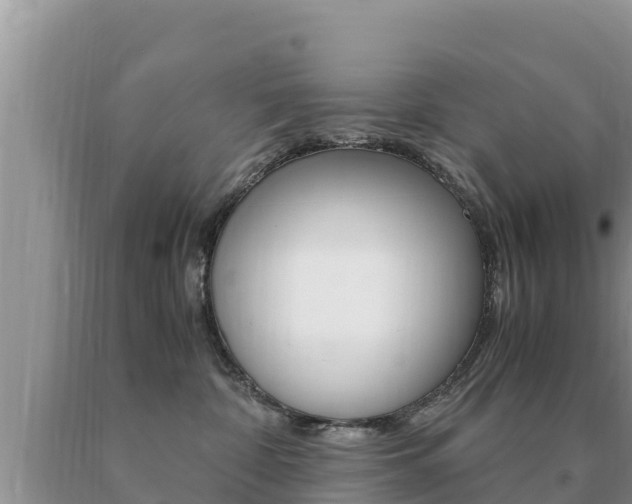X0000091080332200708061051