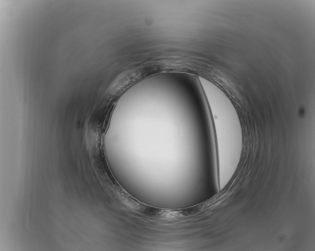 X0000091080333200708061051