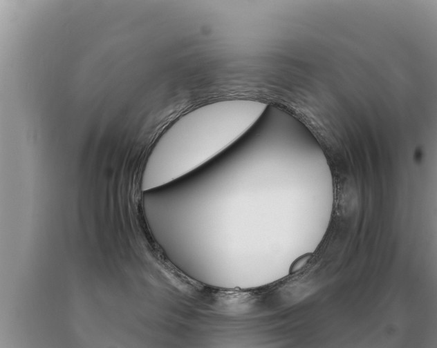 X0000091080334200708061051