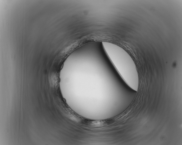 X0000091080335200708061051