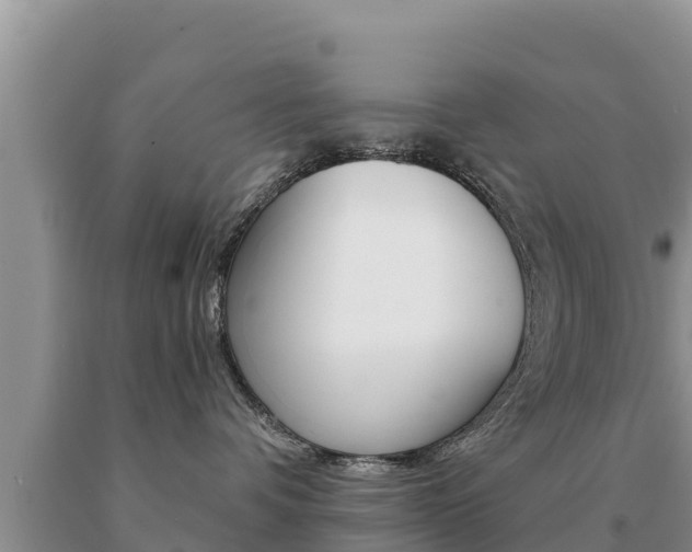 X0000091080336200708061051