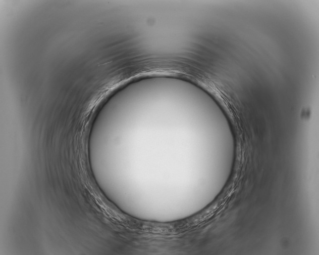 X0000091080337200708061050