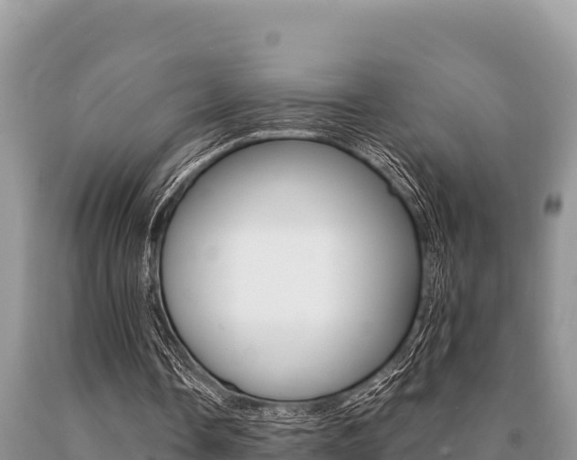 X0000091080338200708061050