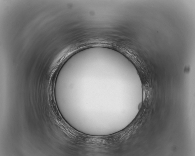 X0000091080339200708061050