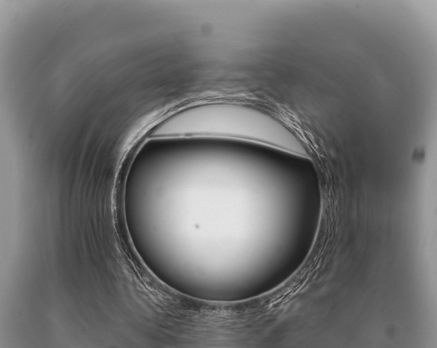 X0000091080340200708061050