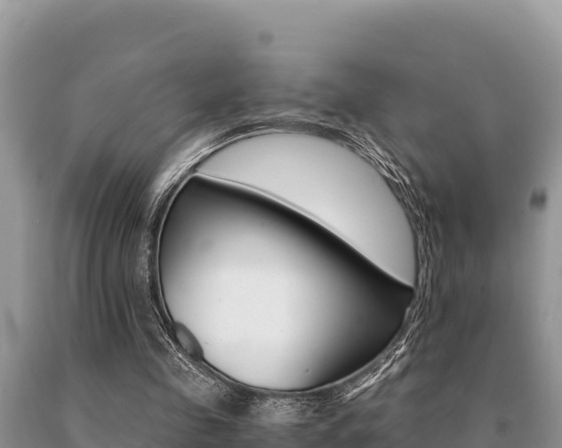 X0000091080341200708061050