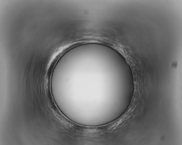 X0000091080342200708061050