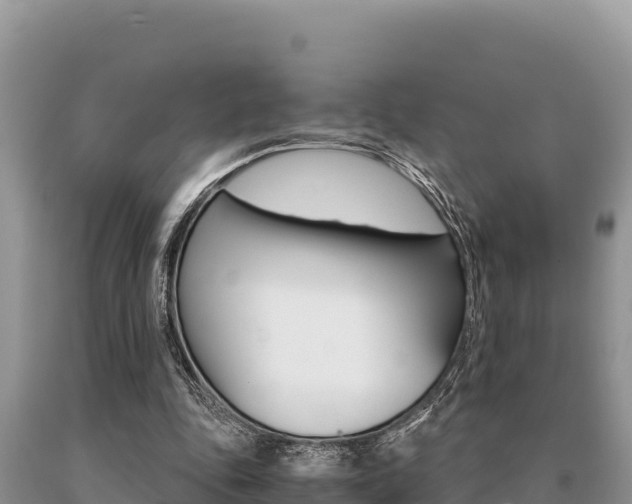 X0000091080343200708061050