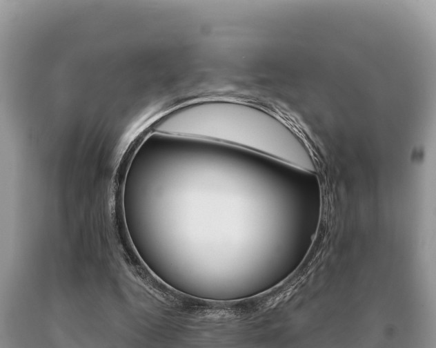X0000091080344200708061050