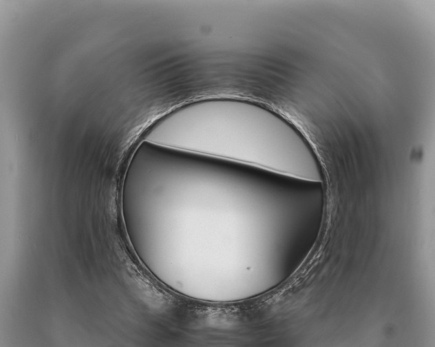 X0000091080345200708061050