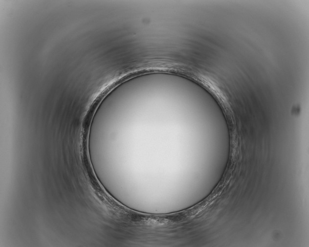 X0000091080346200708061050