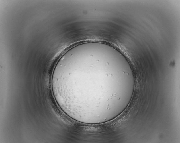 X0000091080347200708061050