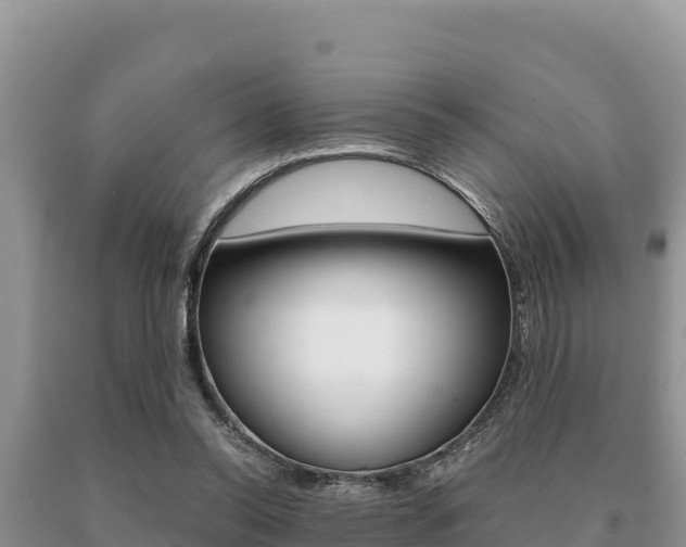 X0000091080350200708061050