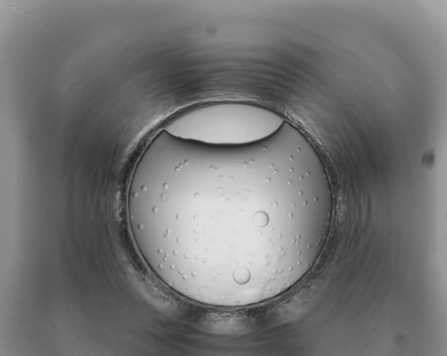 X0000091080351200708061050