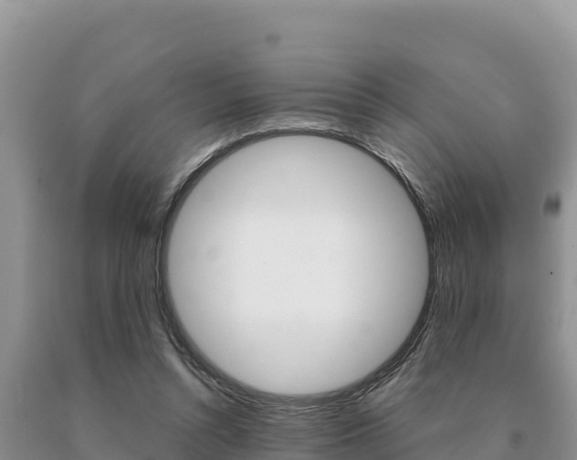 X0000091080352200708061050