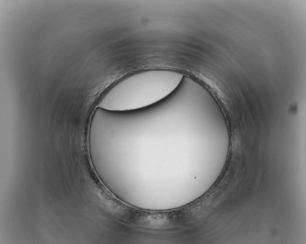 X0000091080353200708061050