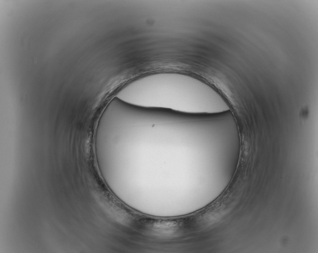 X0000091080357200708061051