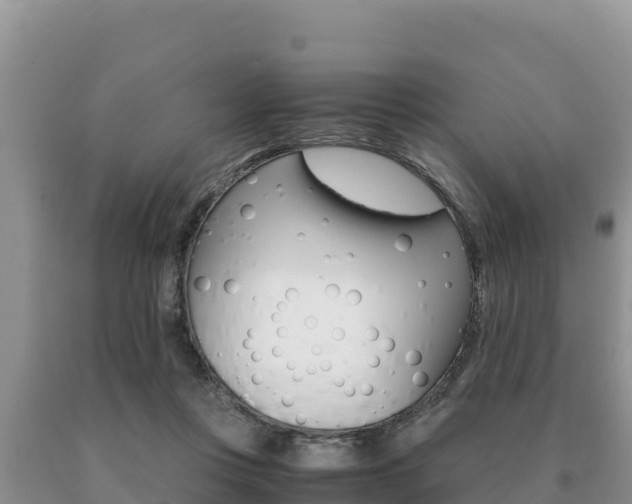 X0000091080359200708061051