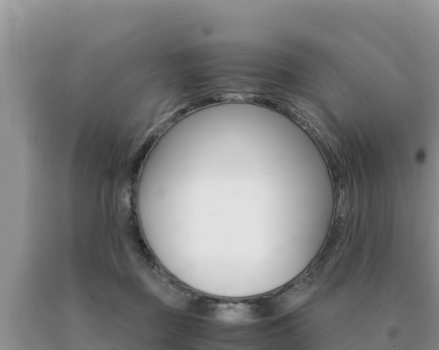 X0000091080363200708061051