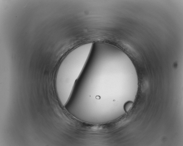 X0000091080366200708061051