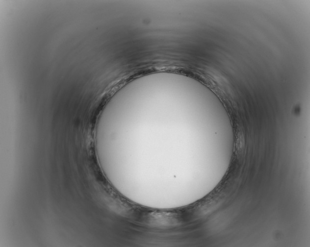 X0000091080367200708061051