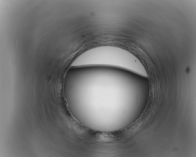 X0000091080372200708061051