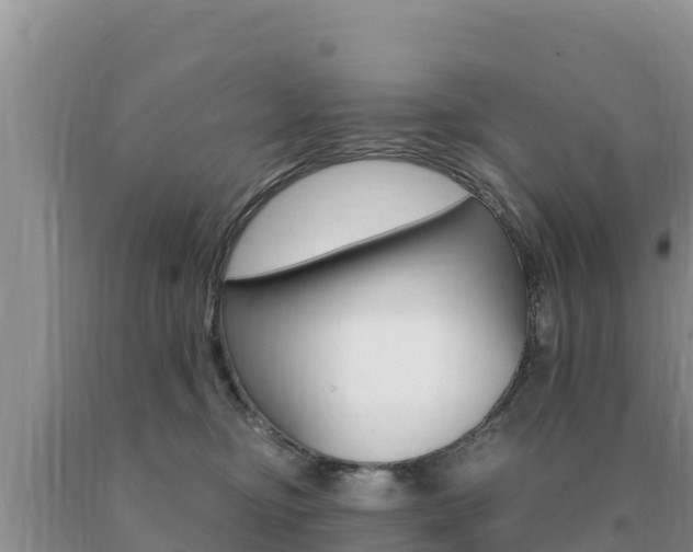 X0000091080374200708061051