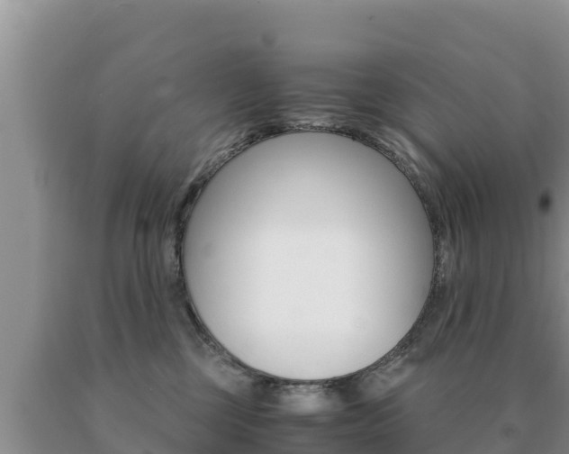 X0000091080377200708061051