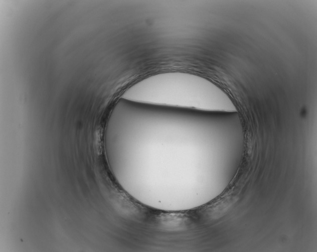 X0000091080378200708061051