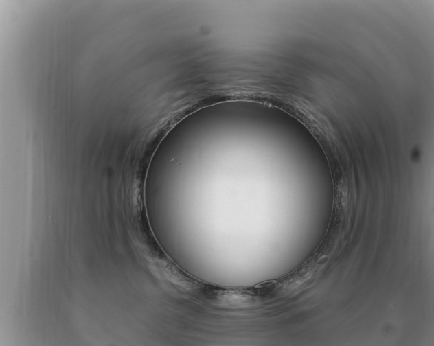 X0000091080380200708061051
