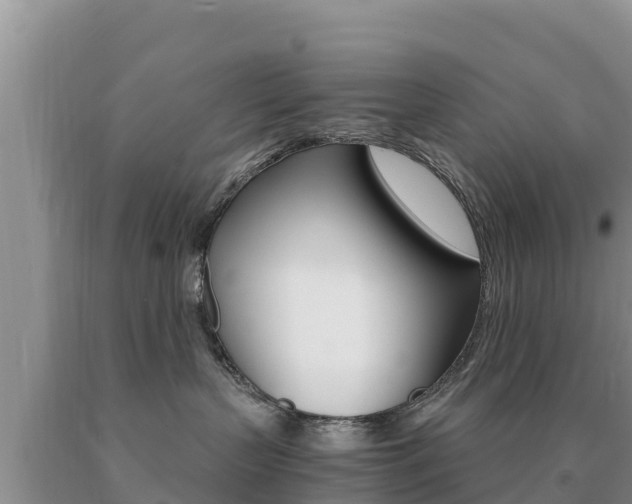 X0000091080383200708061051