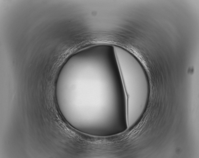 X0000091080385200708061050
