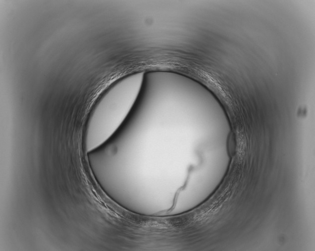 X0000091080386200708061050