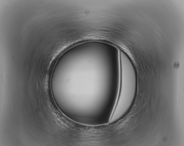 X0000091080387200708061050