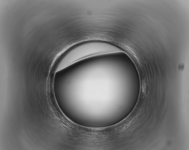 X0000091080388200708061050