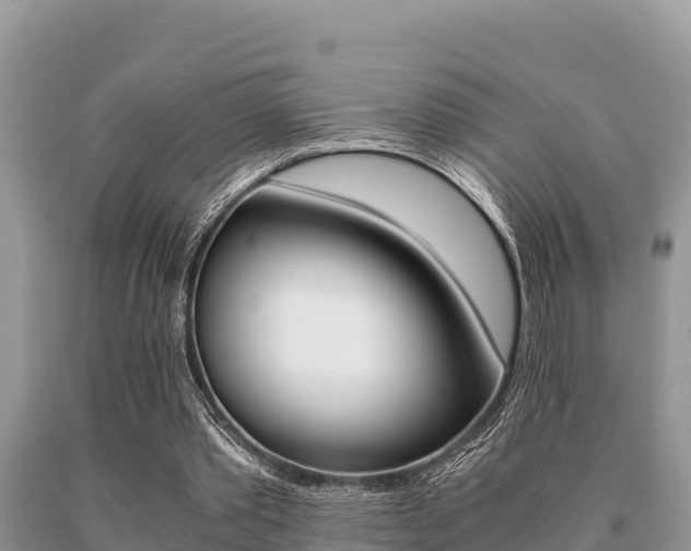 X0000091080389200708061050