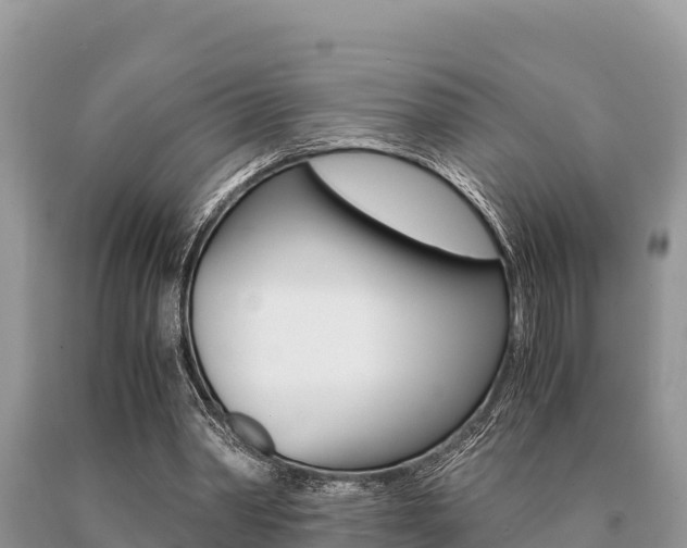 X0000091080390200708061050