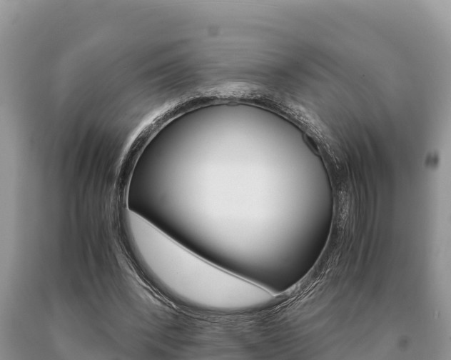 X0000091080392200708061050