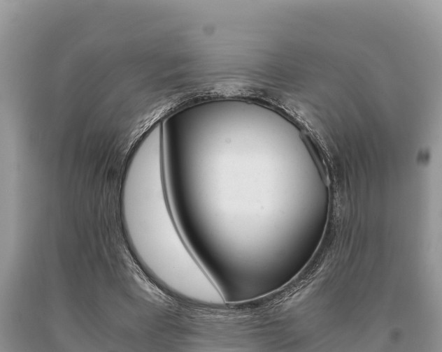 X0000091080393200708061050