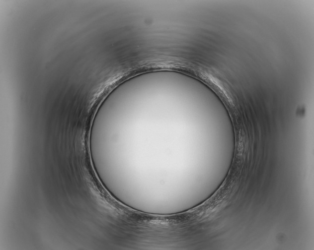 X0000091080394200708061050