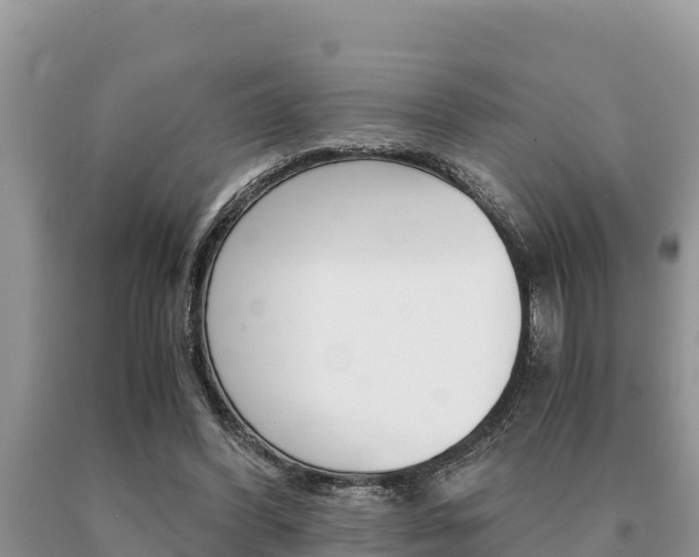 X0000091080396200708061050
