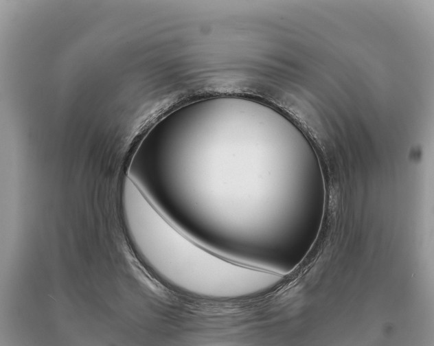 X0000091080397200708061050