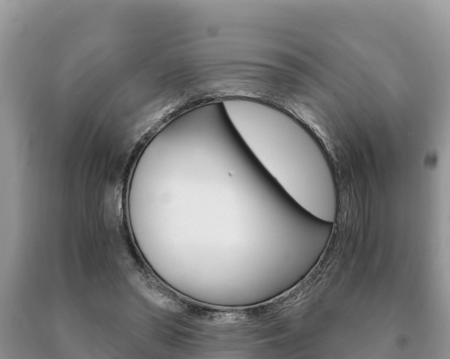 X0000091080398200708061050