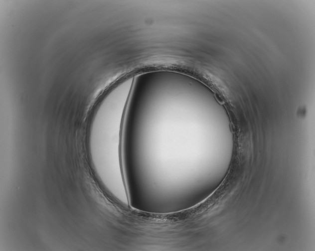 X0000091080399200708061050