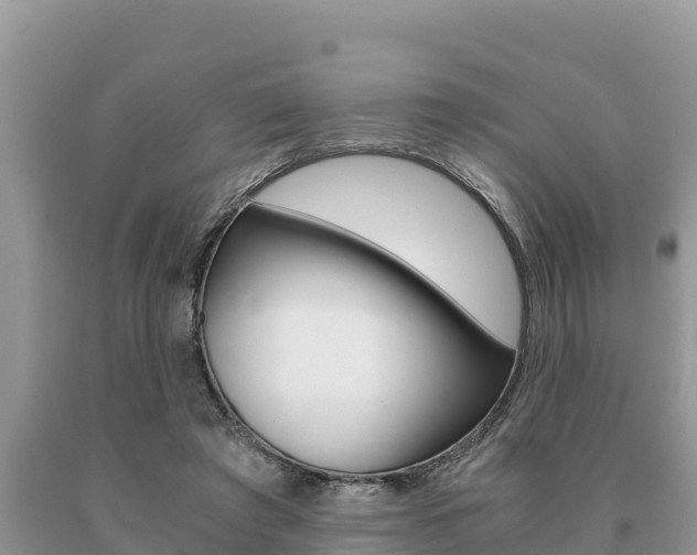 X0000091080401200708061050