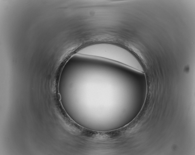 X0000091080403200708061050